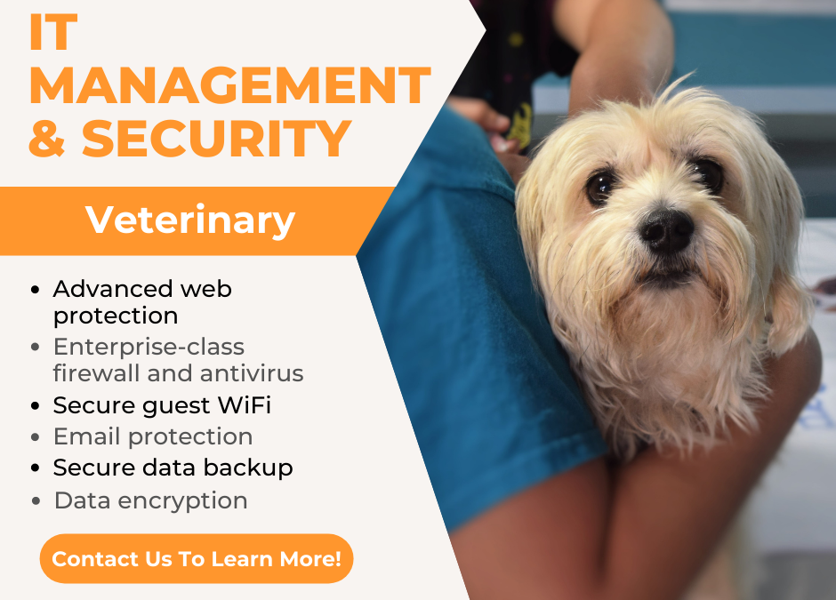 IT Support for Veterinary - IT Management & Security For Veterinary